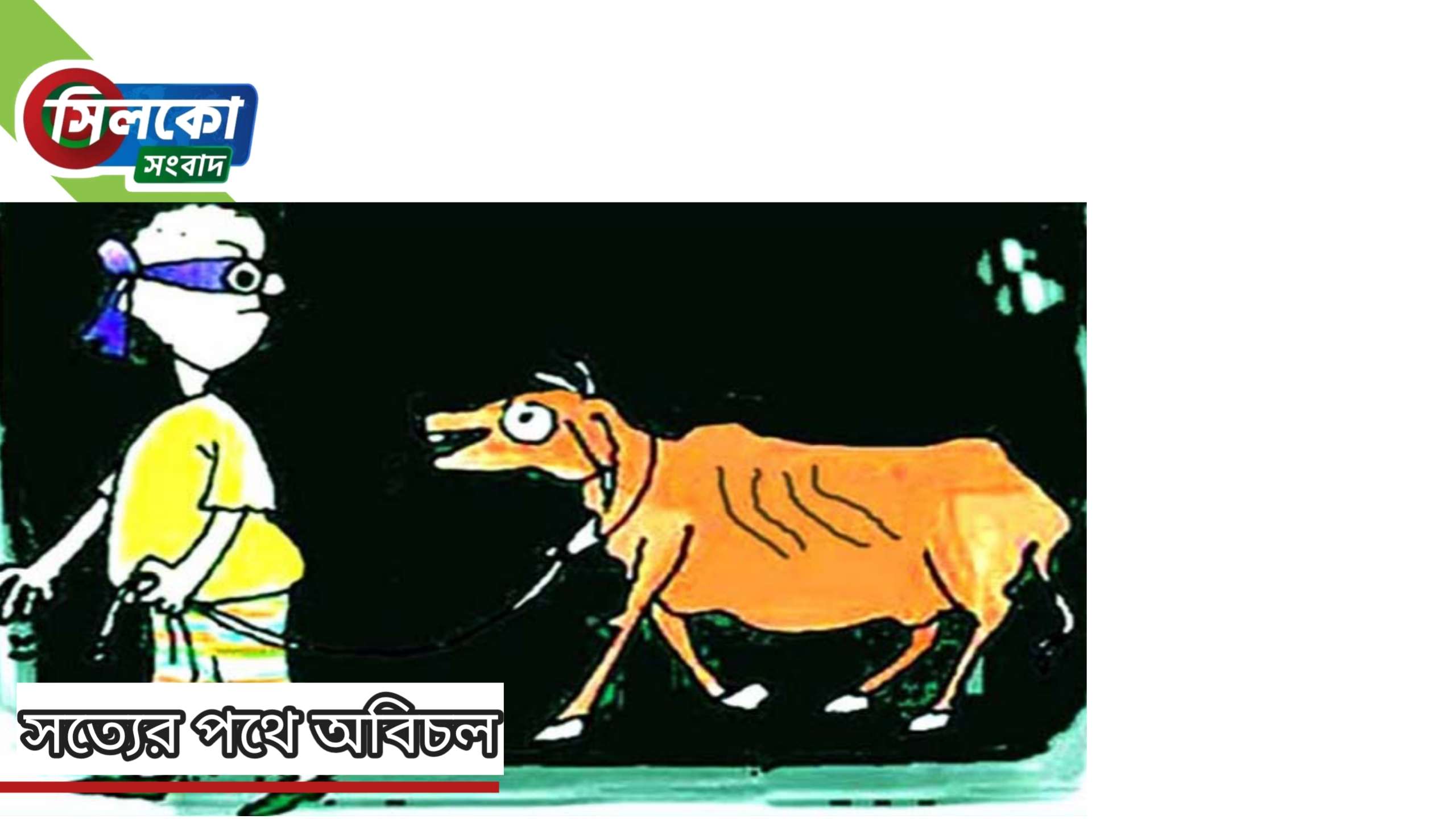 বুড়িচংয়ে বেড়েছে গরু চুরির ঘটনা; রাত জেগে পাহাড়া দিচ্ছে কৃষক