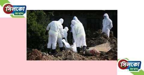করোনায় আরও ১৮৫ জনের মৃত্যু