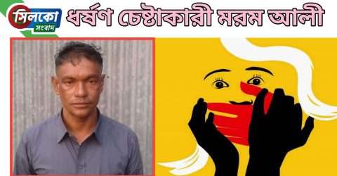 কোম্পানীগঞ্জে ধর্ষণ চেষ্টার অভিযোগে একজন গ্রেফতার