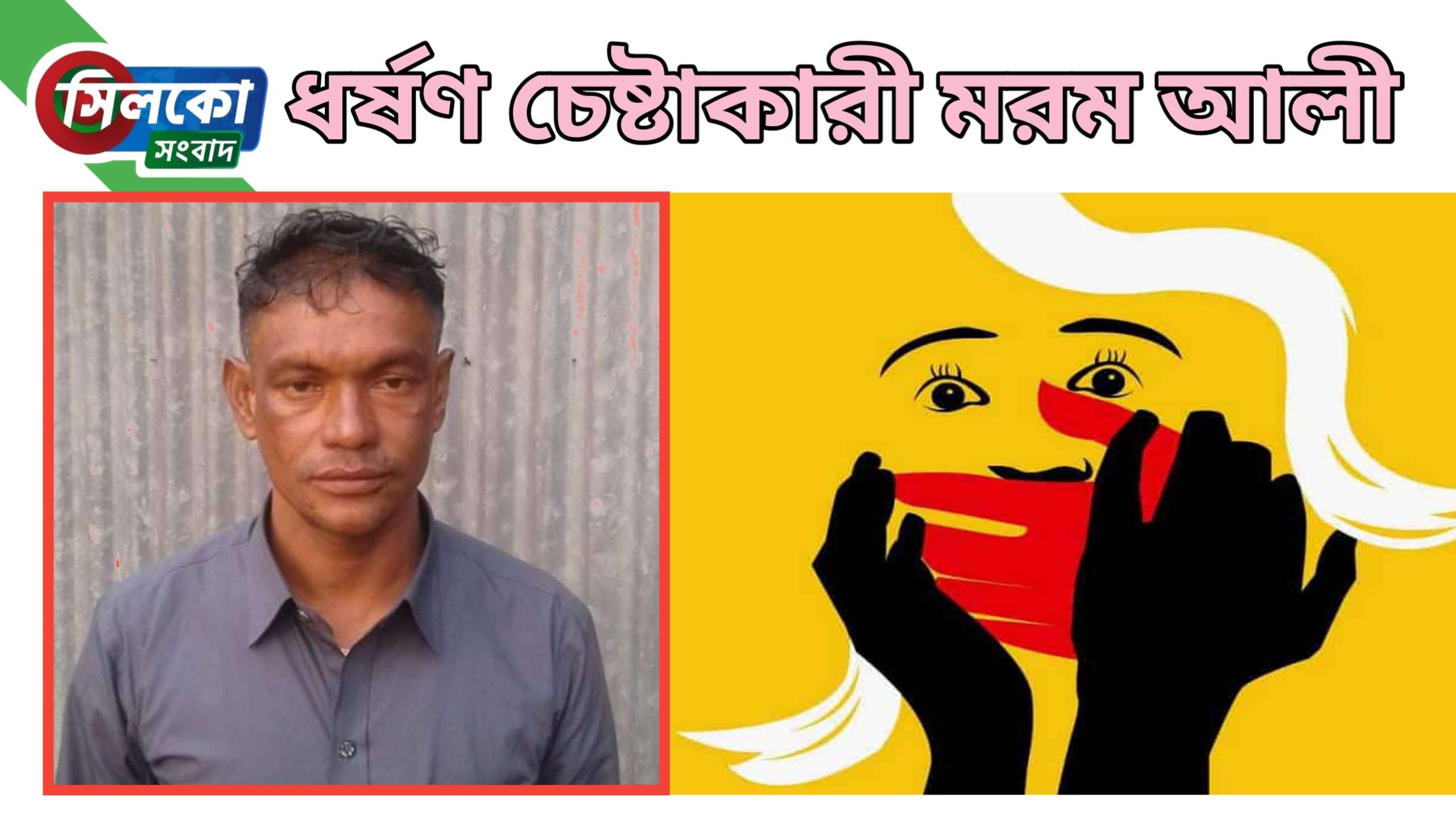 কোম্পানীগঞ্জে ধর্ষণ চেষ্টার অভিযোগে একজন গ্রেফতার