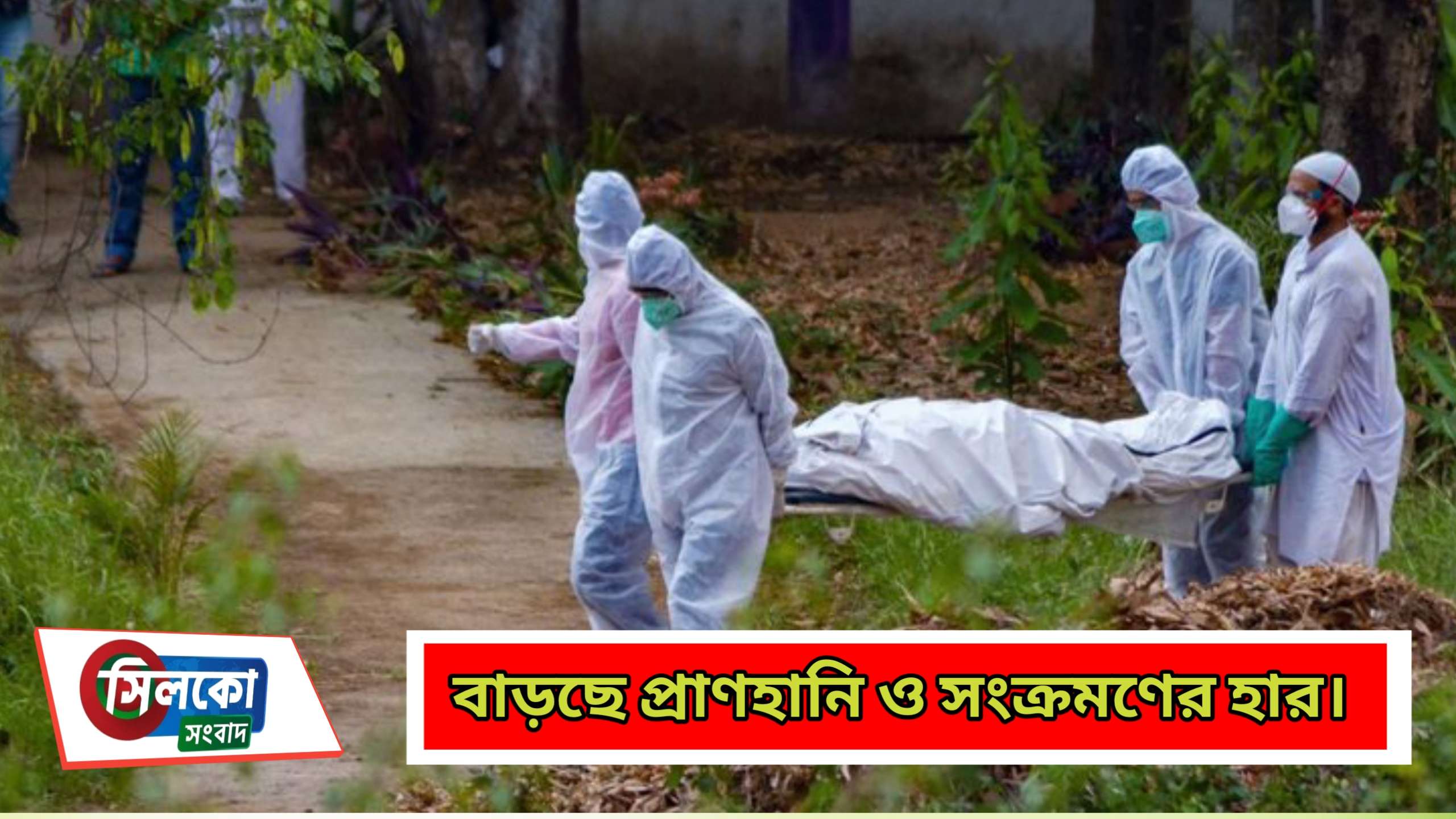 ২৪ ঘণ্টায় করোনায় ২২৮ জনের প্রাণহানি