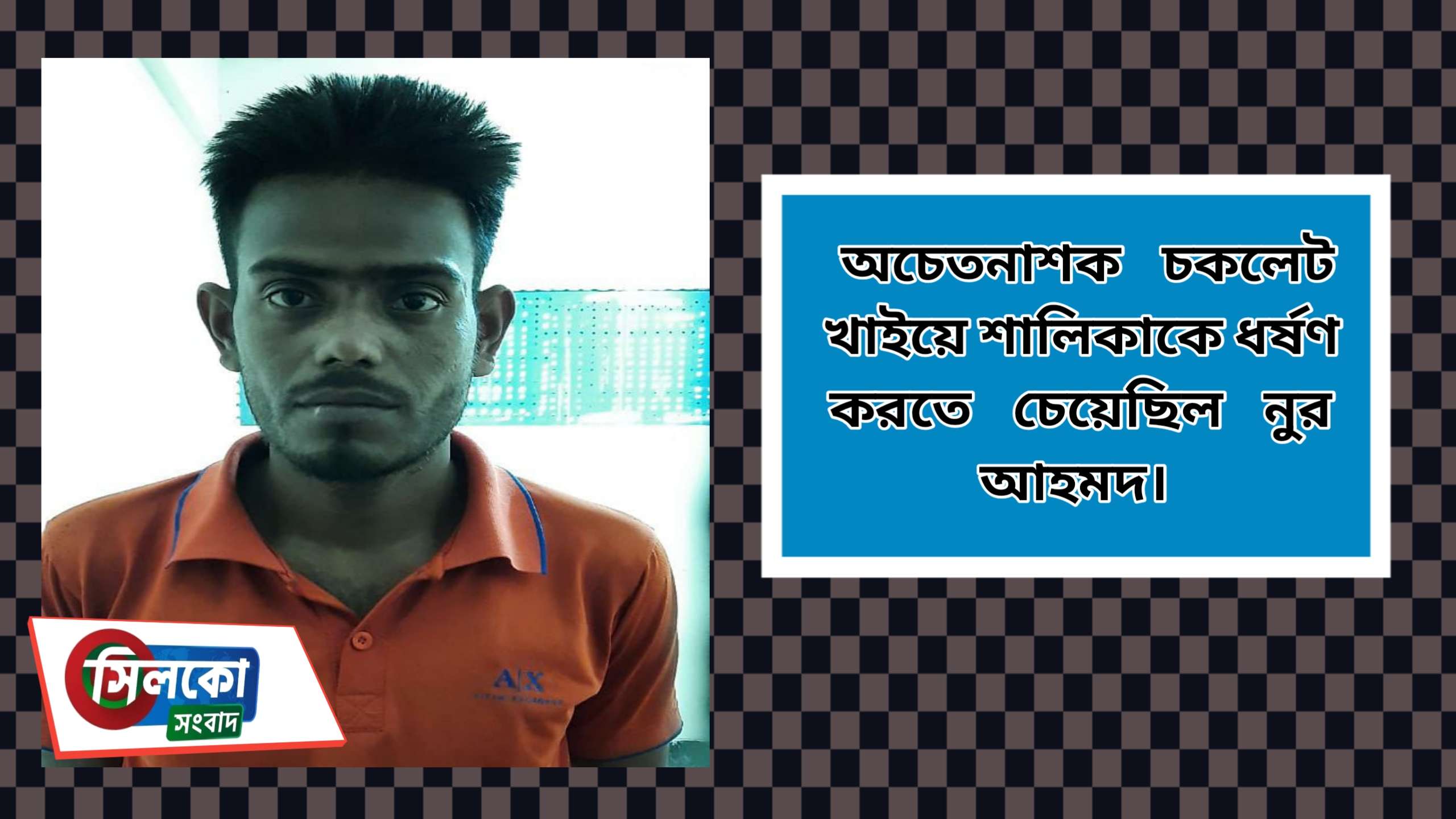 কোম্পানীগঞ্জে শালিকাকে ধর্ষণ করতে গিয়ে দুলাভাই শ্রীঘরে