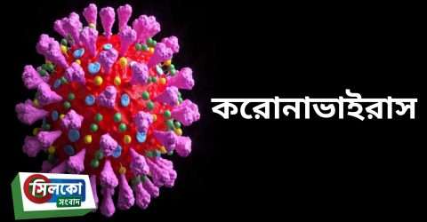 দেশে করোনায় প্রাণ গেল আরও ২৪৫ জনের