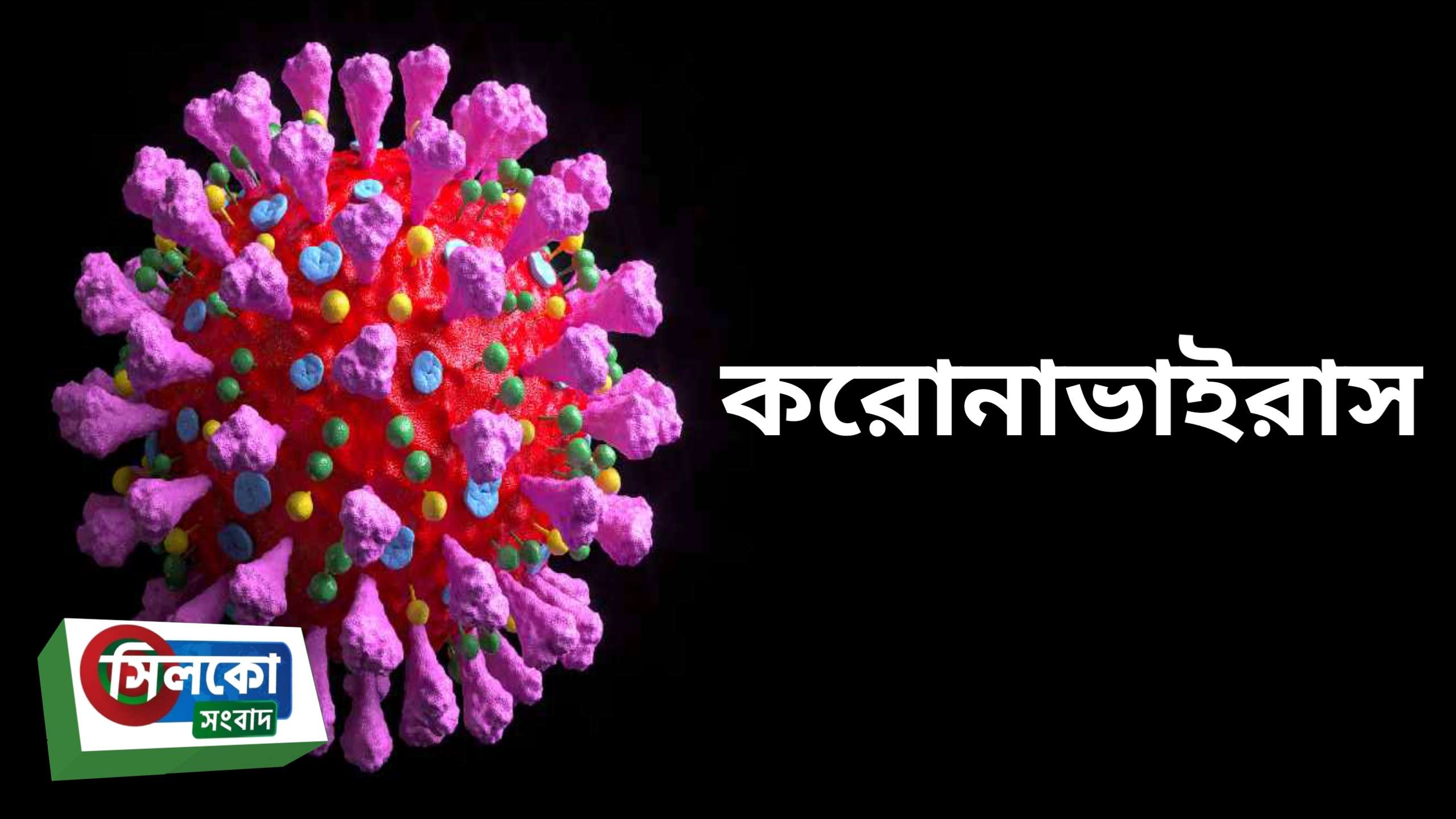 দেশে করোনায় প্রাণ গেল আরও ২৪৫ জনের