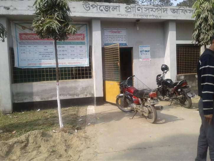 ঠাকুরগাঁও জেলা প্রাণিসম্পদ অধিদপ্তরে সর্বনিম্ন দরদাতাকে কাজ দেওয়া হলোনা