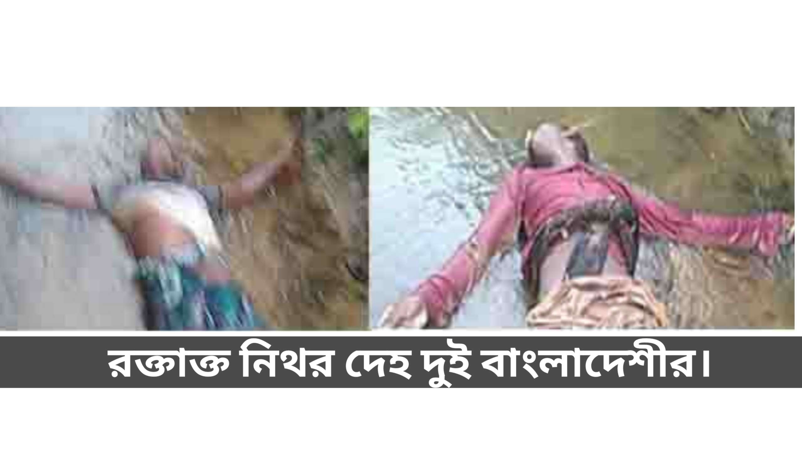 কানাইঘাট সীমান্তে বিএসএফ’র গুলিতে দুই বাংলাদেশী প্রাণ হারালো