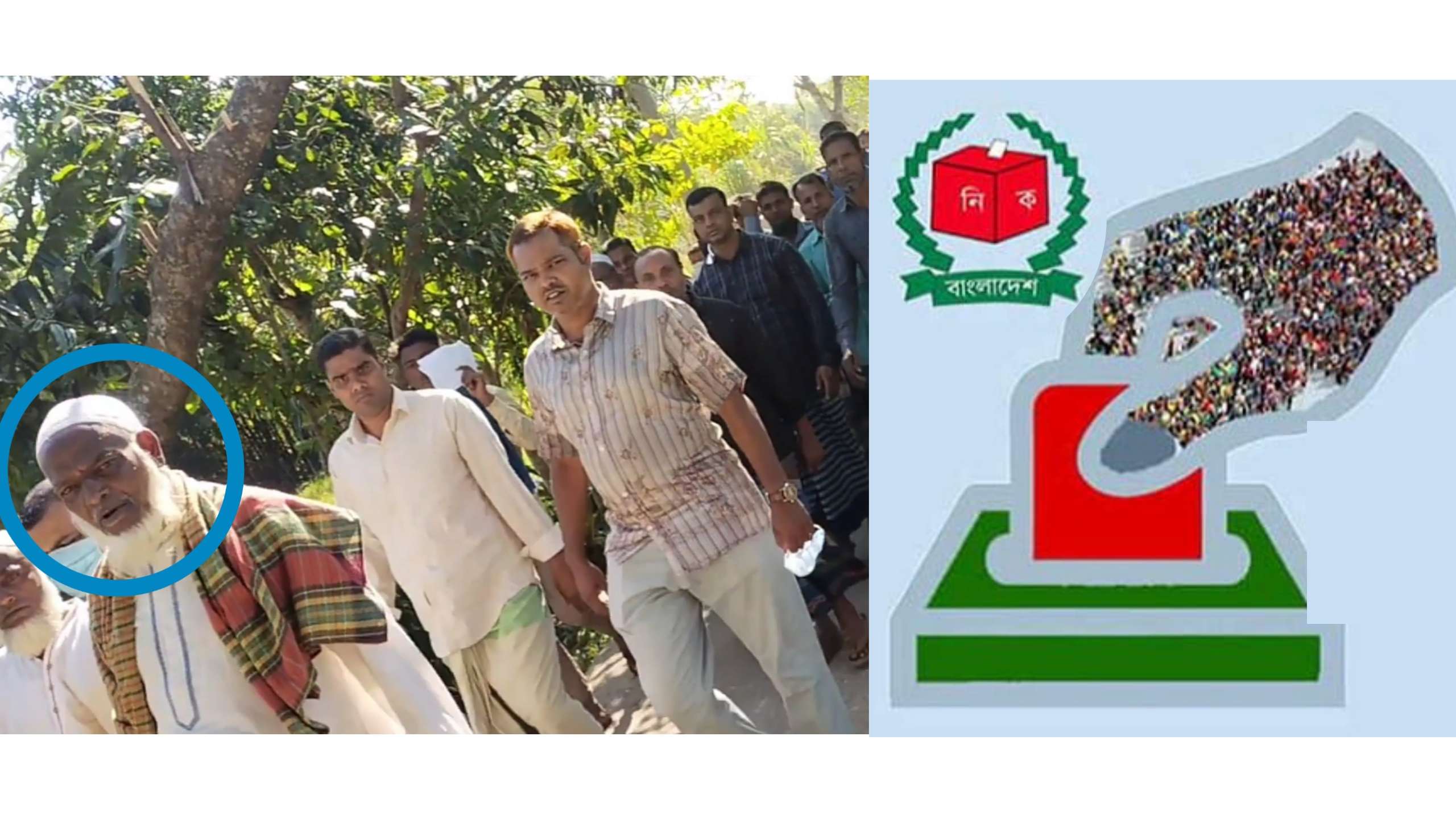 বিদ্রোহী প্রার্থীর মিছিলে নেতৃত্ব দিলেন কোম্পানীগঞ্জ আ’লীগ সভাপতি আলী আমজদ