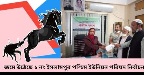ঘোড়া প্রতিকে লড়ছেন মজনু মিয়া