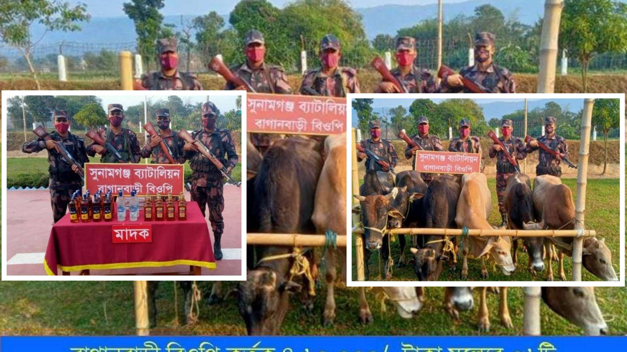 দোয়ারাবাজার সীমান্তে ভারতীয় মদ ও গরুর চালান জব্ধ