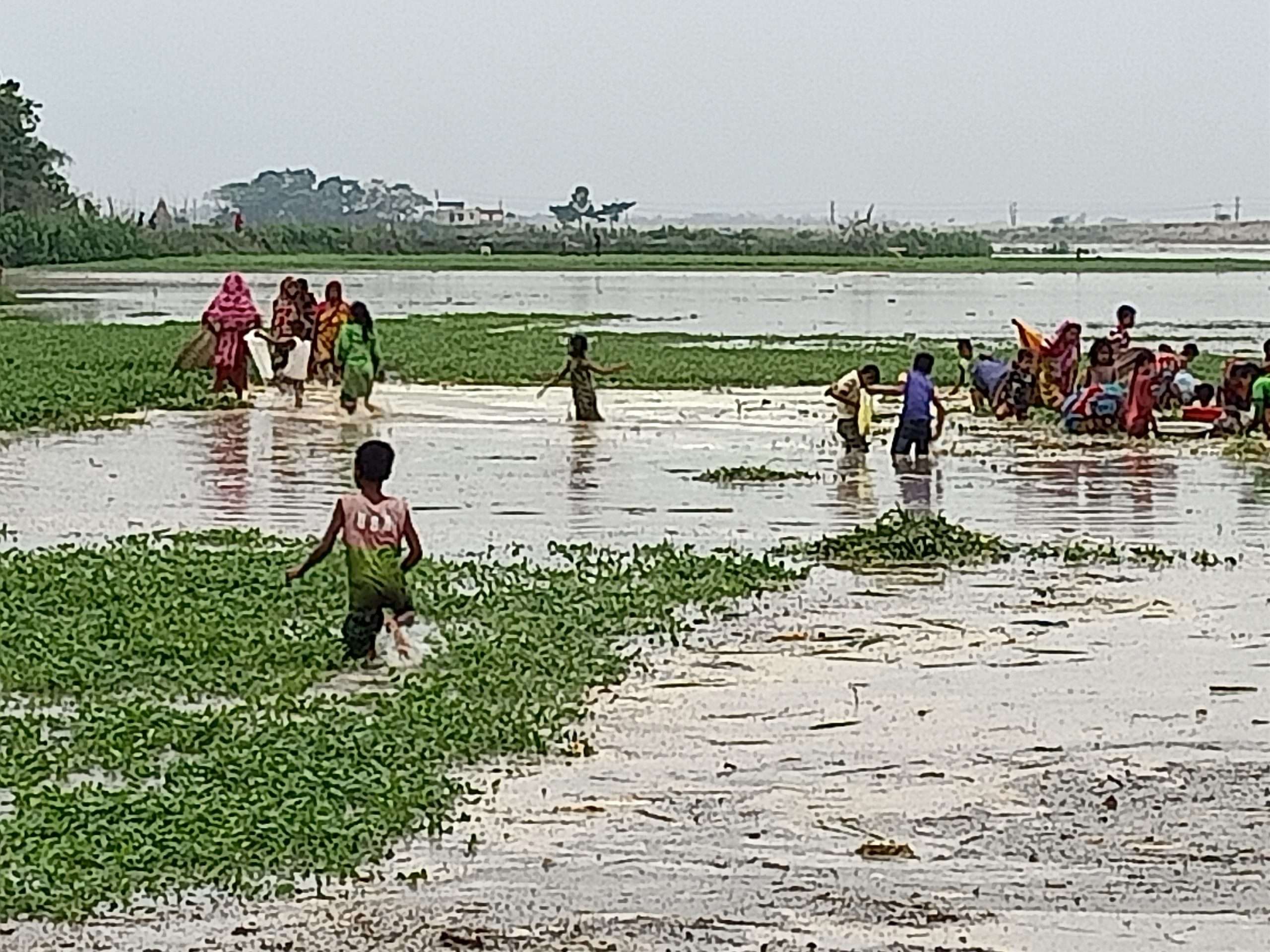 পাহাড়ি বর্ষণে কোম্পানীগঞ্জে ফসলের ব্যাপক ক্ষয়ক্ষতি
