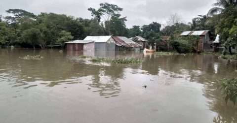 “দোয়ারাবাজারে বন্যার পানিতে ভেসে গেছে আড়াইশতাধিক পুকুরের মাছ”বাড়ছে কৃষক ও মৎস্য চাষিদের হাহাকার,