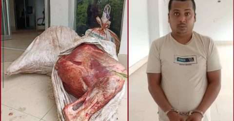 আখাউড়ায় চোরাই গরুর মাংস বিক্রিকালে উপজেলা চেয়ারম্যানের ভাতিজা আটক