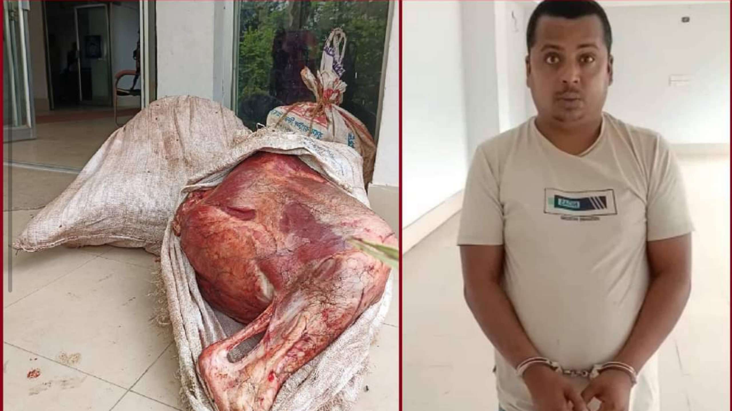 আখাউড়ায় চোরাই গরুর মাংস বিক্রিকালে উপজেলা চেয়ারম্যানের ভাতিজা আটক