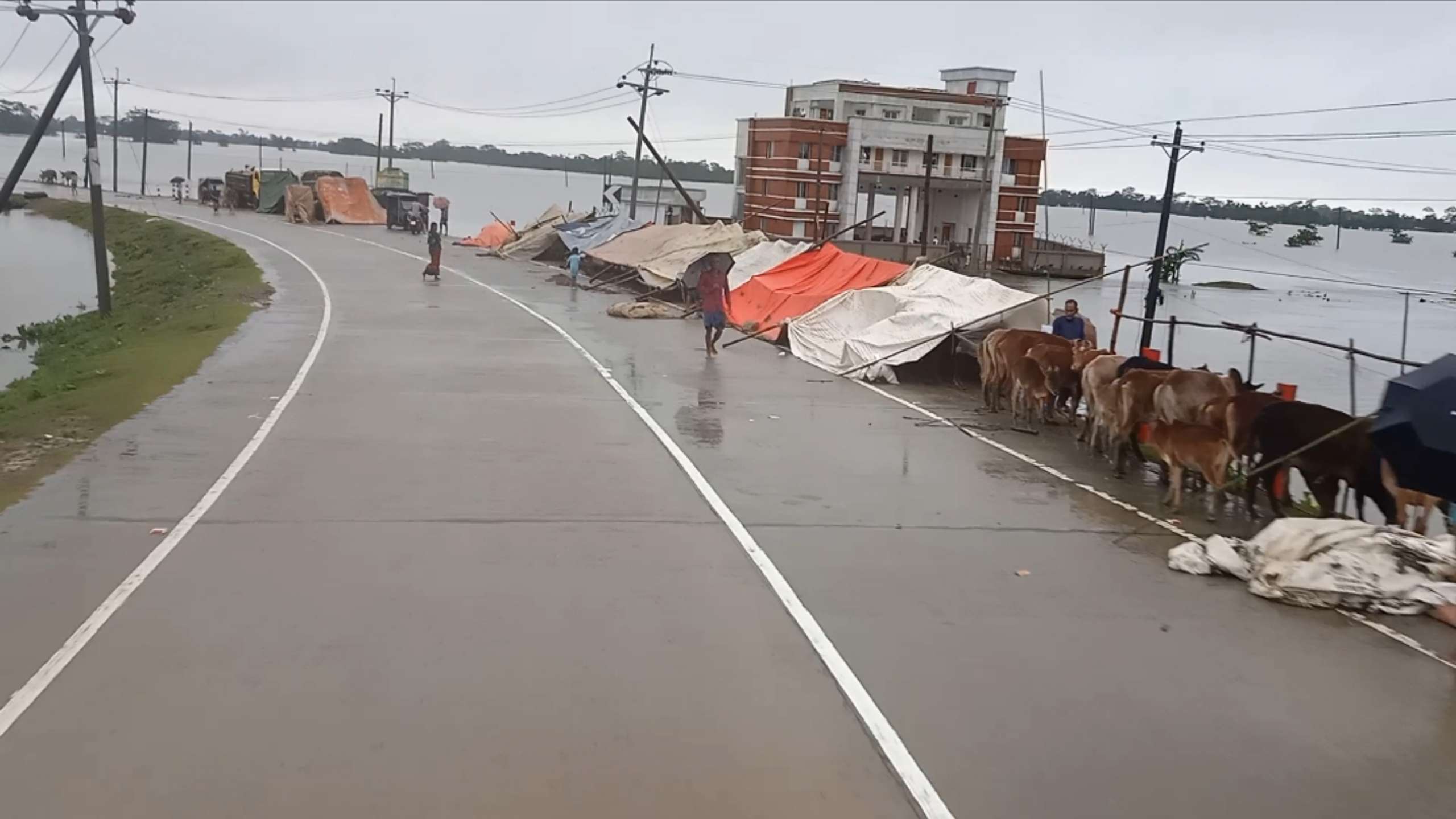 আশ্রয় কেন্দ্রে থাকার জায়গা নেই: রাস্তায় ঠাই নিয়েছে ওরা