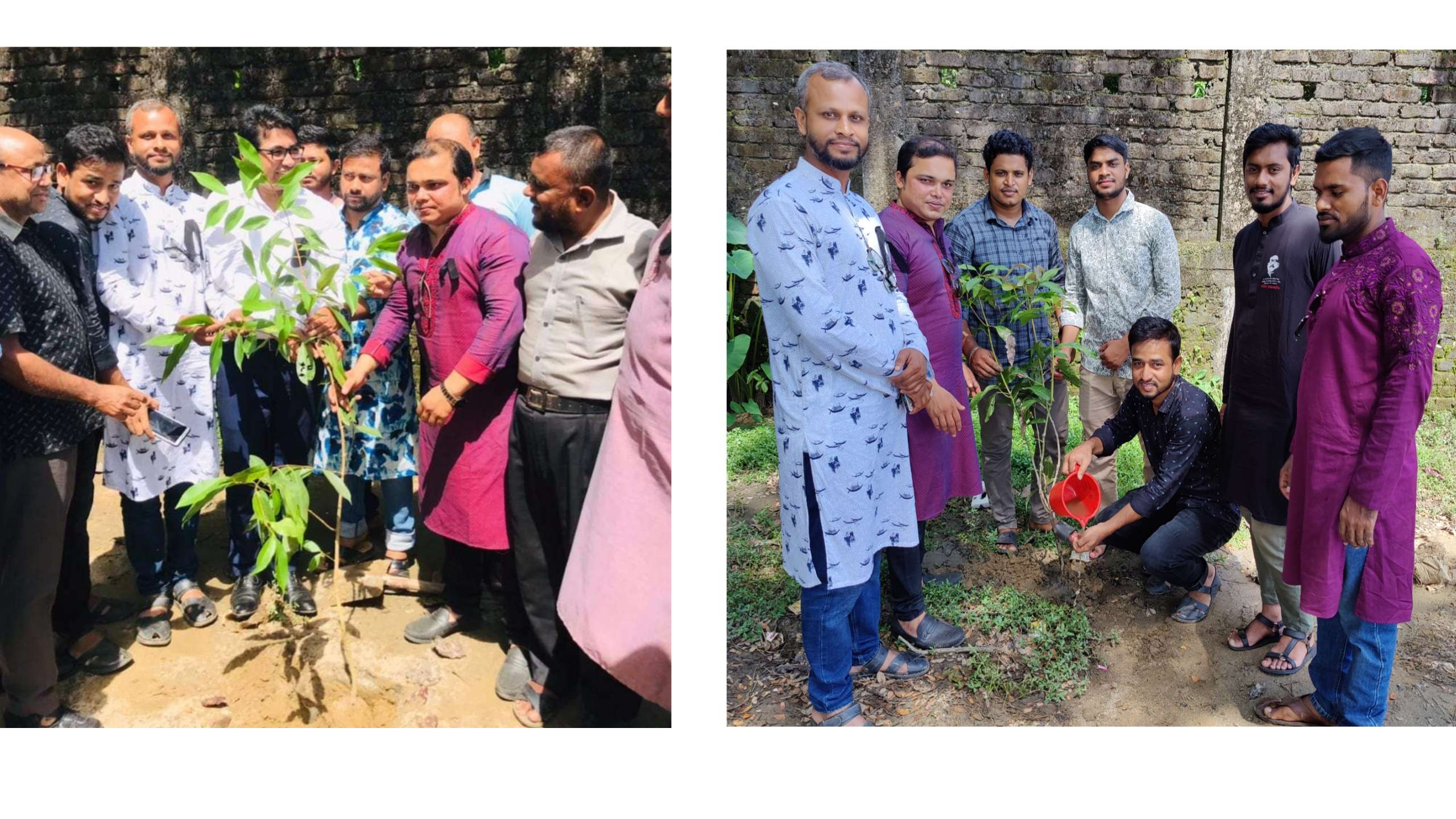 কোম্পানীগঞ্জ ছাত্র পরিষদের বৃক্ষরোপণ