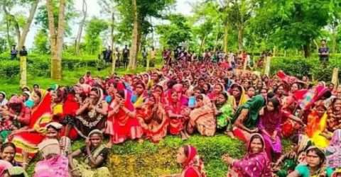 চা-বাগান মালিকদের গণভবনে ডেকেছেন প্রধানমন্ত্রী