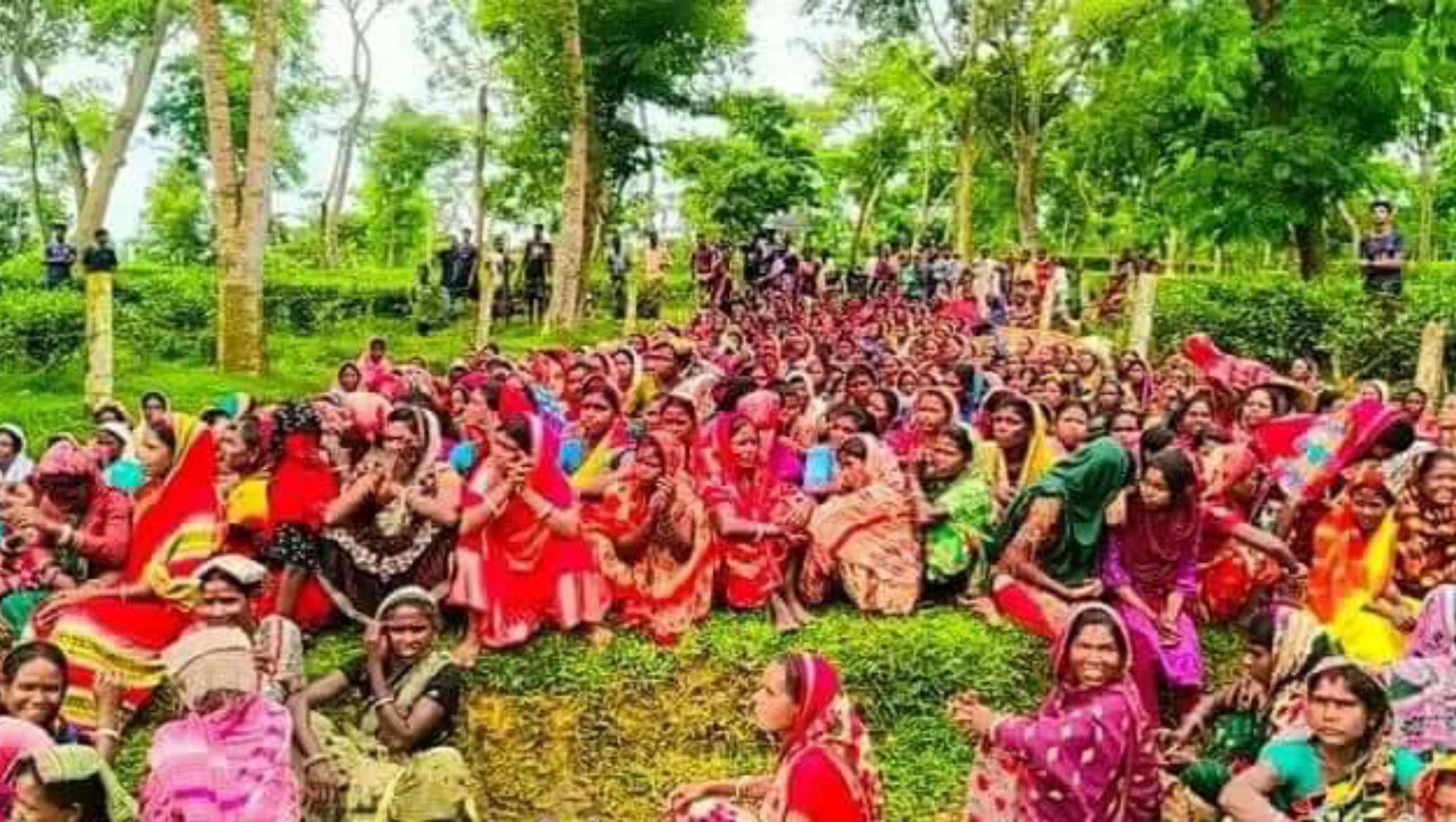 চা-বাগান মালিকদের গণভবনে ডেকেছেন প্রধানমন্ত্রী