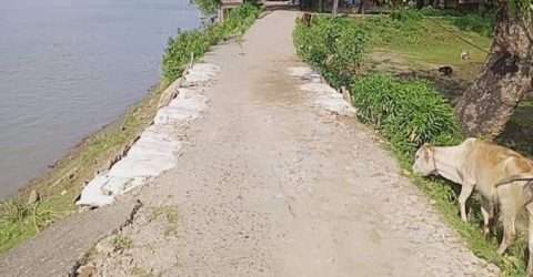 স্বেচ্ছায় রাস্তা সংষ্কার করলেন আ’লীগ নেতা কবির আহমদ