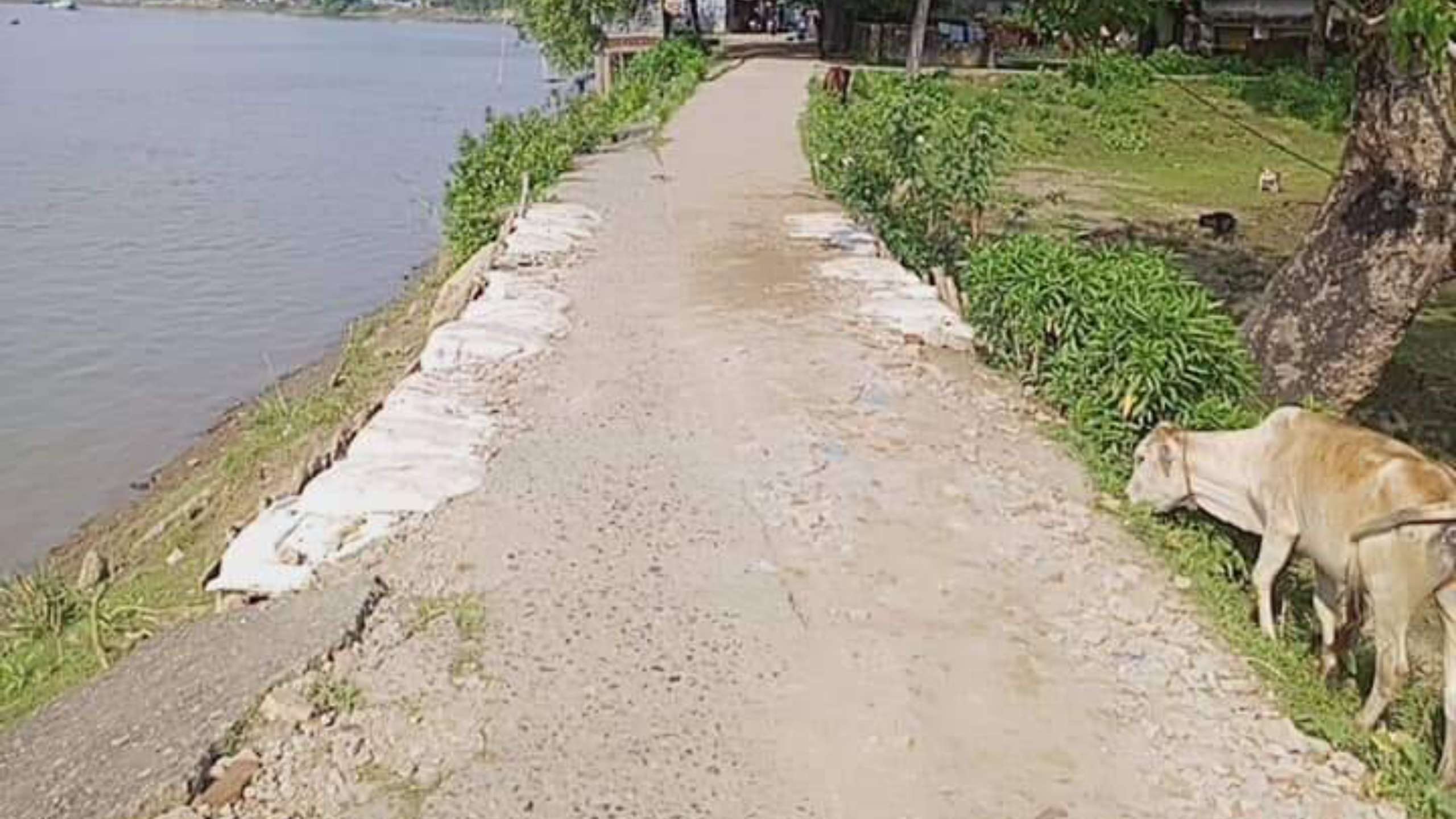 স্বেচ্ছায় রাস্তা সংষ্কার করলেন আ’লীগ নেতা কবির আহমদ