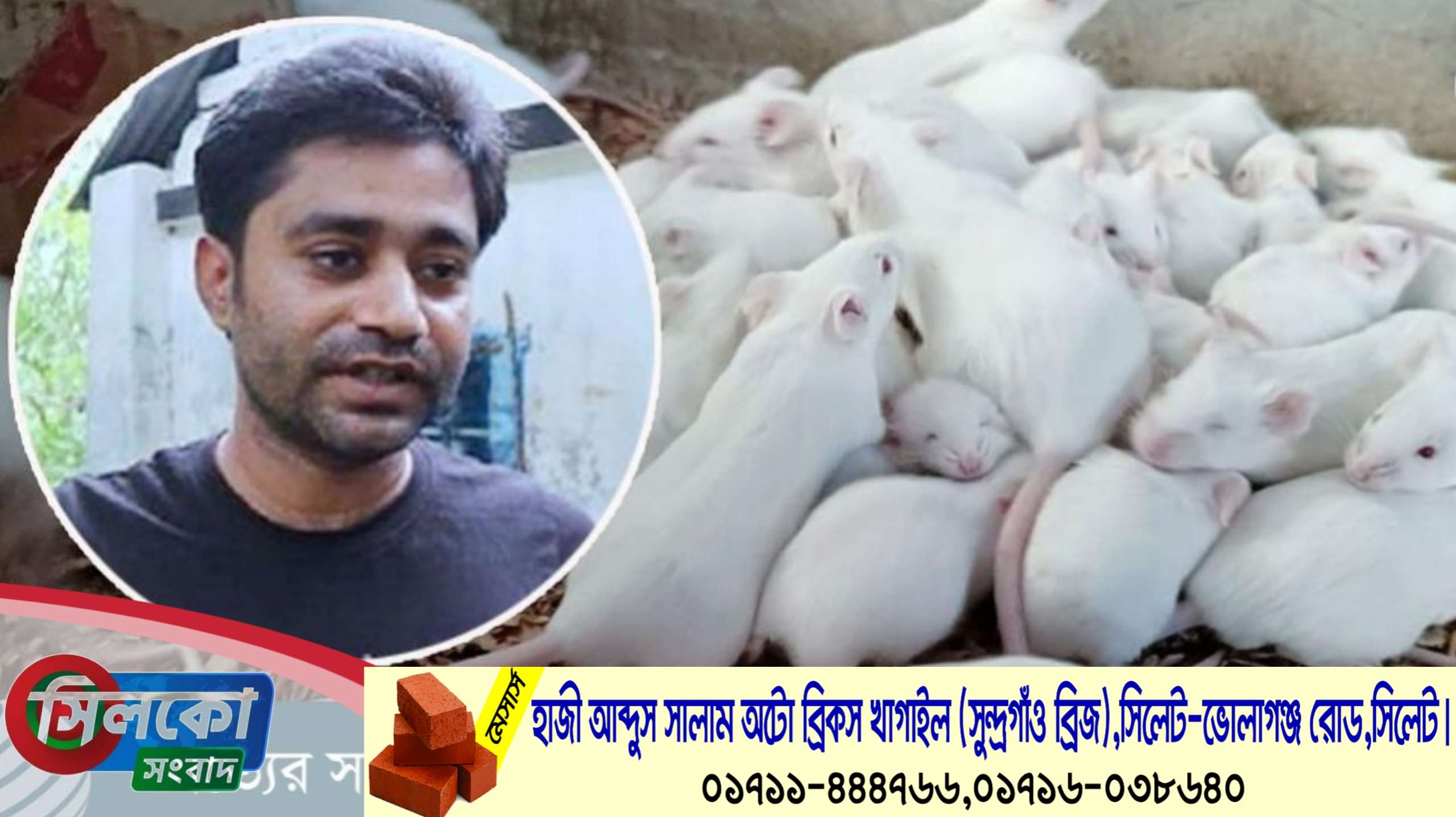 ইঁদুর বিক্রি করে মামুনের লক্ষ টাকা আয়