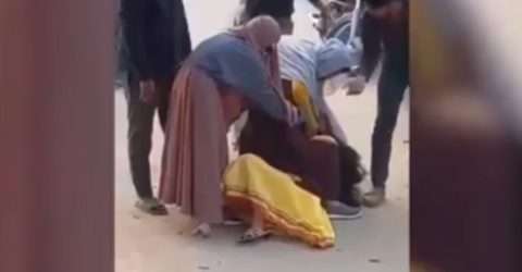 এক প্রেমিক নিয়ে ৪ তরুণীর চুলোচুলি, ভিডিও ভাইরাল