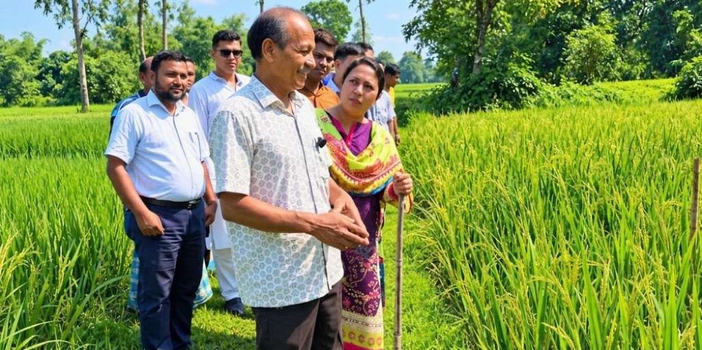 ২৫ জাতের ধান উদ্ভাবন করে ২১ বছরেও সরকারী স্বীকৃতি মিলেনি